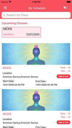 Pranic Healing USA screenshot 3