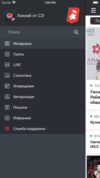 Хоккей от СЭ