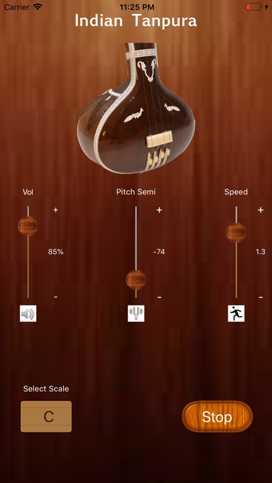 Indian Tanpura screenshot 3