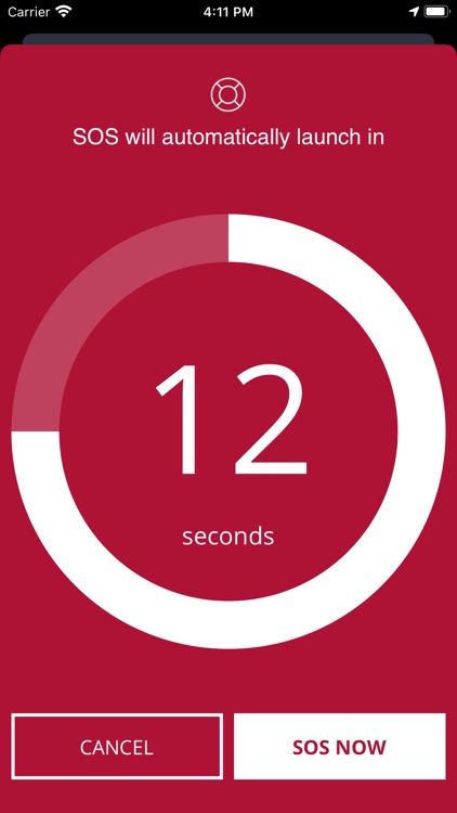 Solace Secure screenshot-4