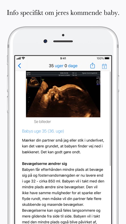 Far Gravid - Dag for Dag screenshot-3
