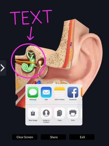My Ear Anatomyのおすすめ画像5