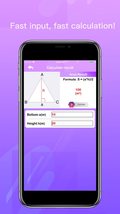 Geometric Area Calculator