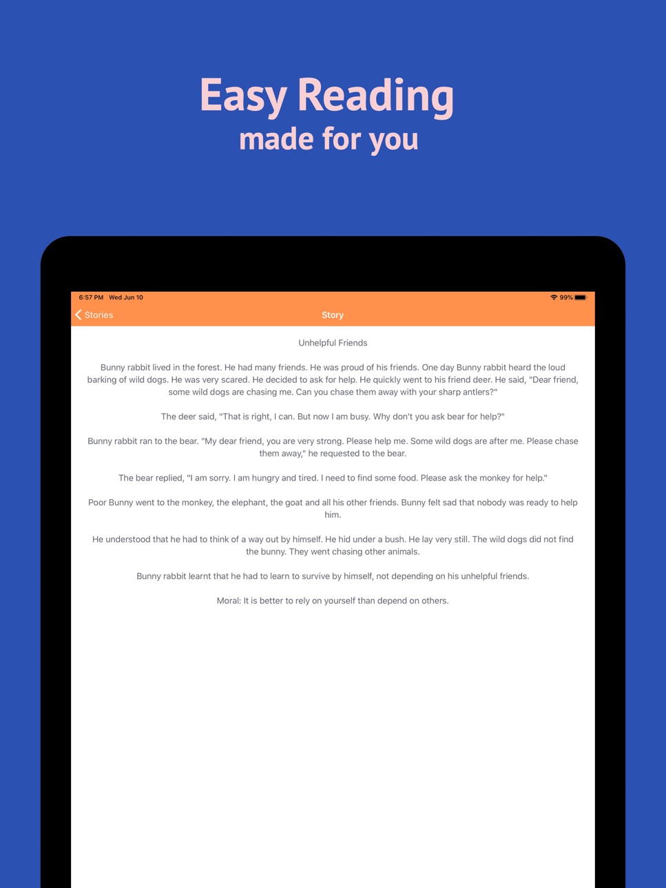iPad screenshot