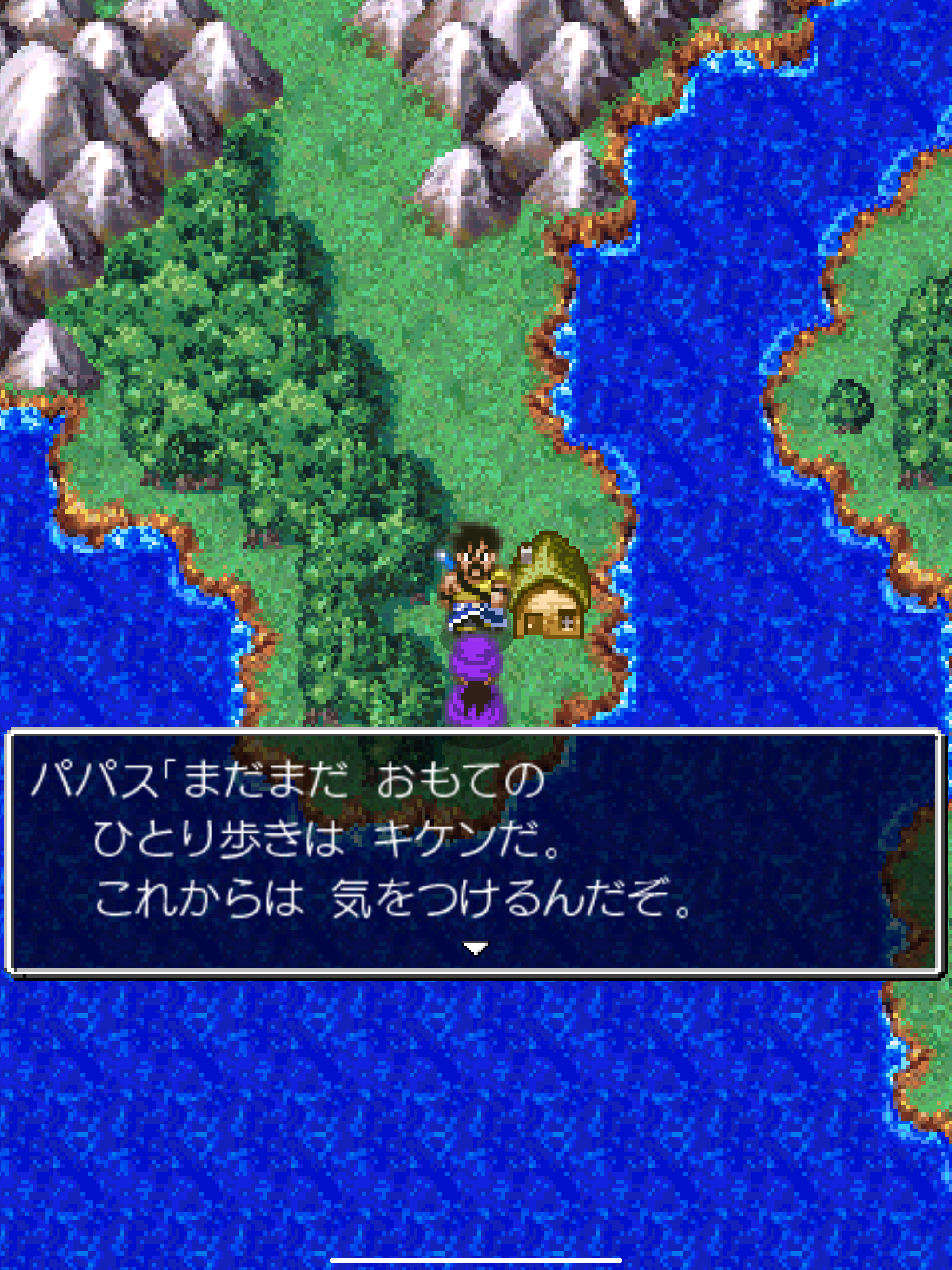 ドラゴンクエストV 天空の花嫁 screenshot 9