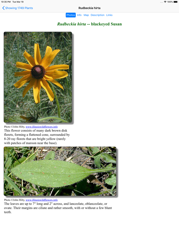 Nebraska Wildflowers iPad screenshot 4 - Education app