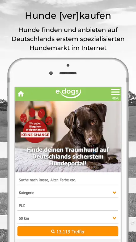 edogs