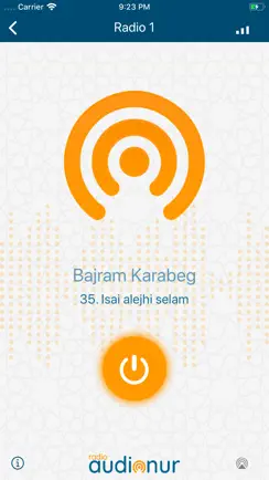 Radio Audionur iPhone image 1