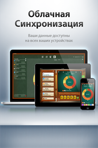 Скриншот из Checkbook HD: Personal finance