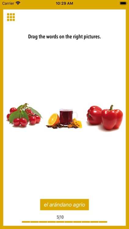 Picture Dictionary Spanish screenshot-3