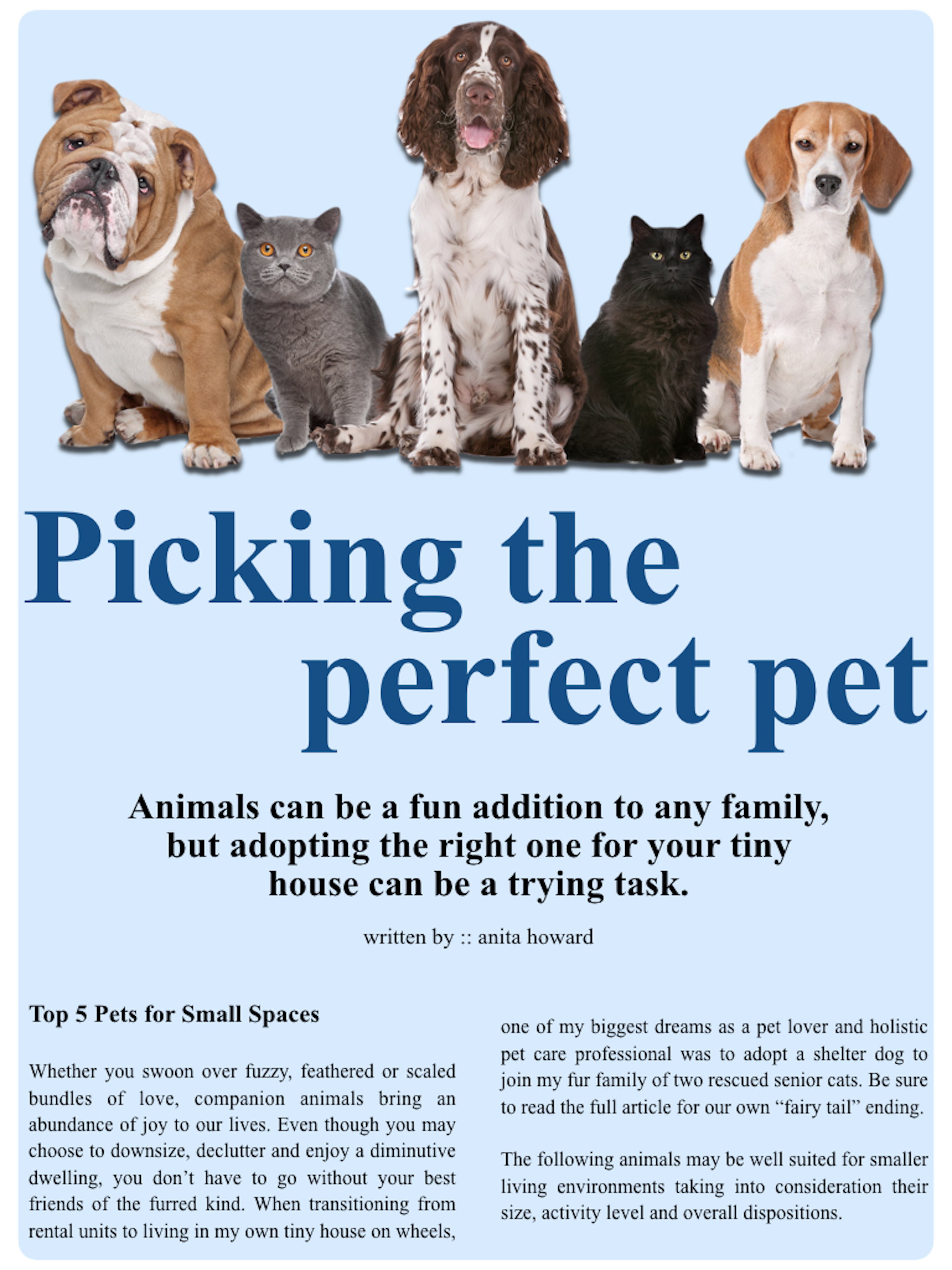 Tiny House Magazine screenshot 10