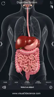 my digestive system anatomy iphone resimleri 3