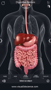 My Digestive System Anatomy screenshot