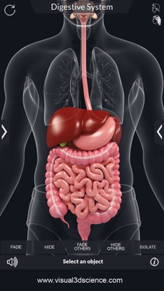 My Digestive System Anatomy screenshot 3