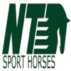 NT Sport Horses