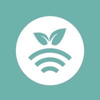 Plantae Install pour PC