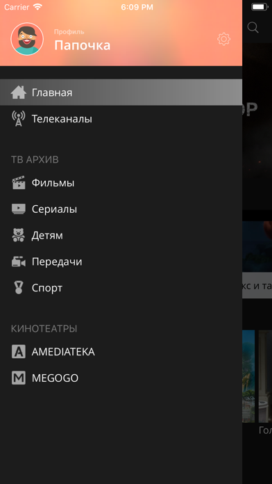 Формула Связи ТВ screenshot 3