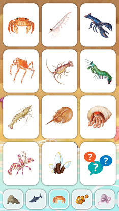 Marine Creatures Cards of Sea screenshot 6