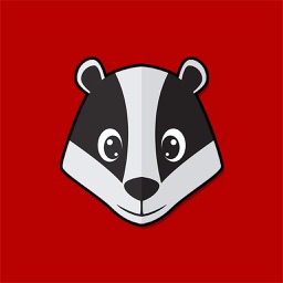 Badgers Football Stickers