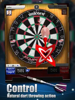 Darts Match screenshot 8