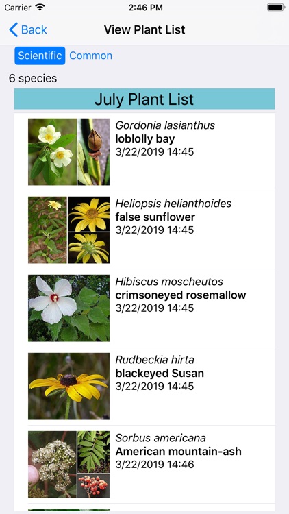 North Carolina Wildflowers screenshot-7
