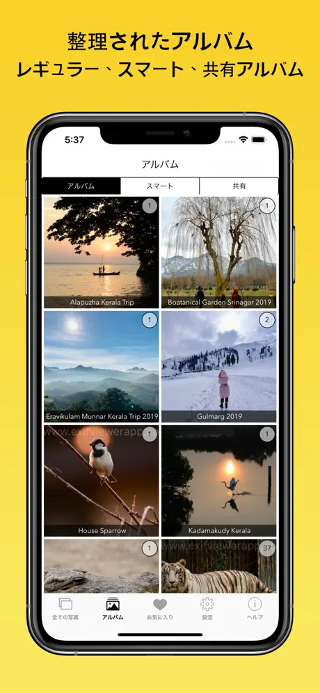 Exif Viewer デモ Fluntro提供 & 写真