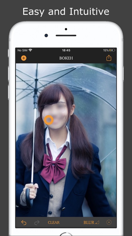 Bokeh Blur Editor