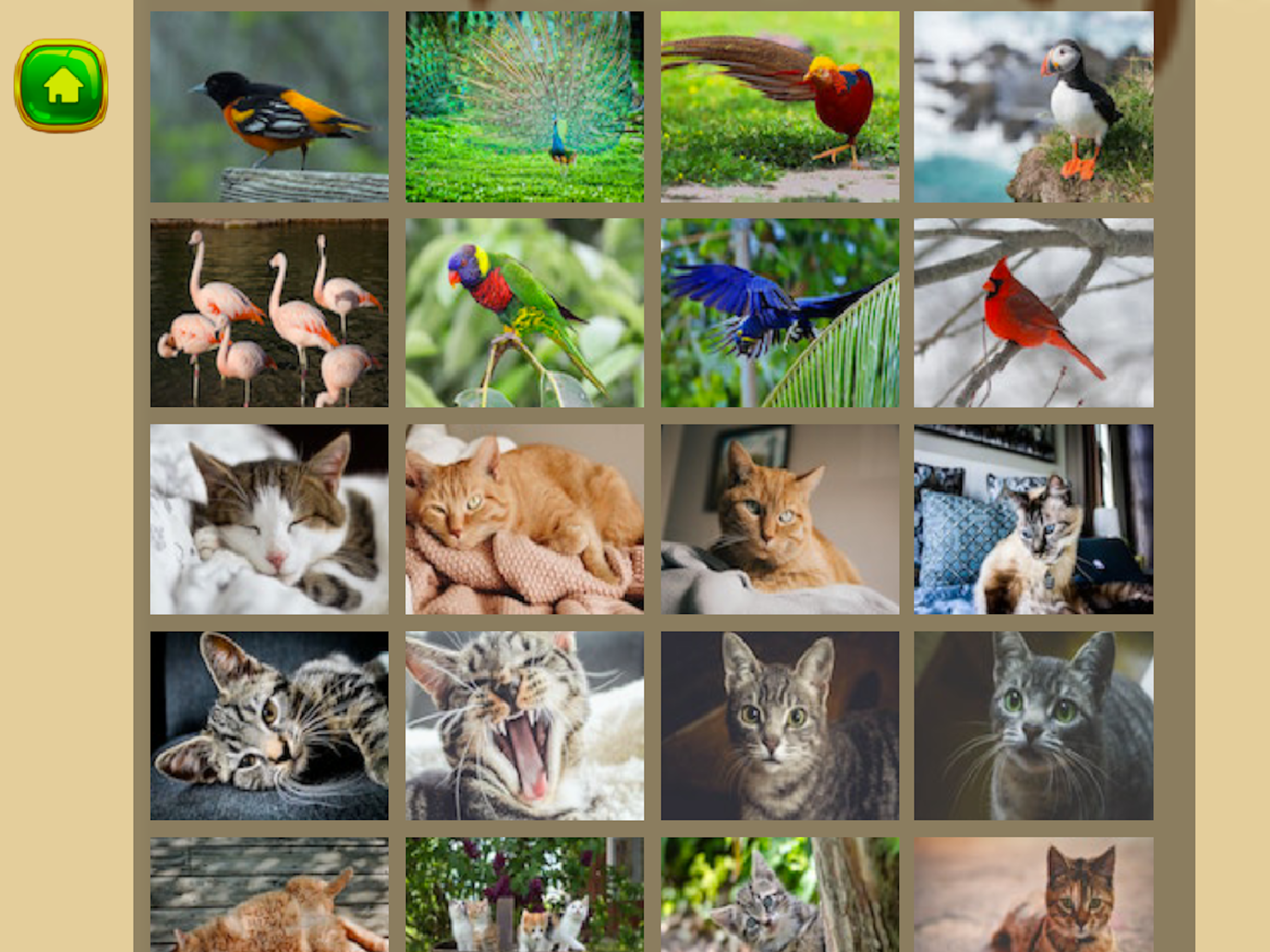 Magic Puzzle Animal