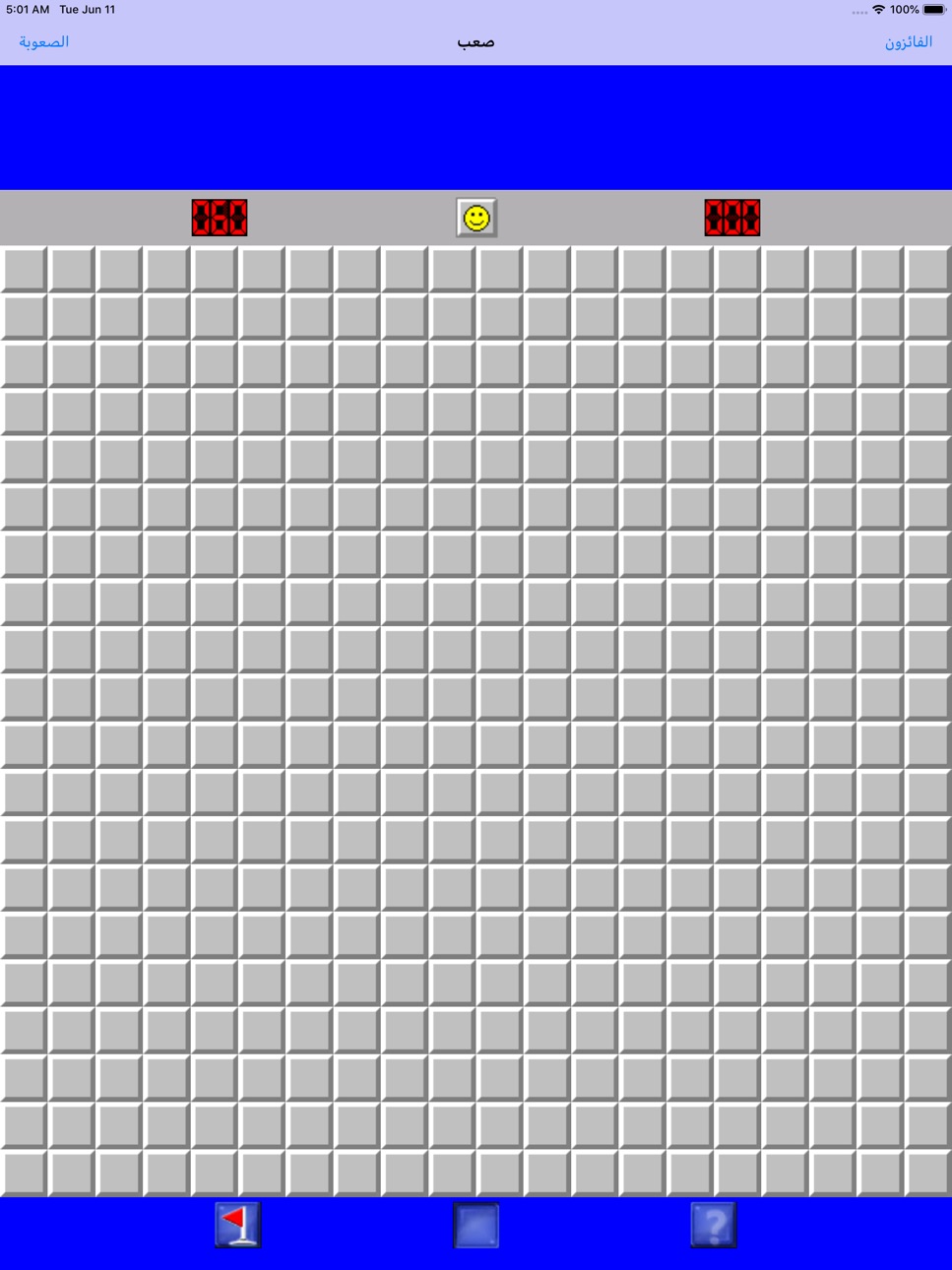 iPad screenshot