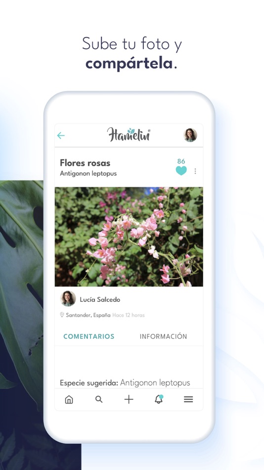 #3. Hamelin Nature Social Network (iOS) 由: Bineo Consulting, S.L