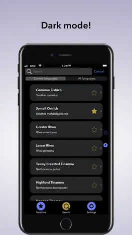 Game screenshot Bird Names Dictionary hack