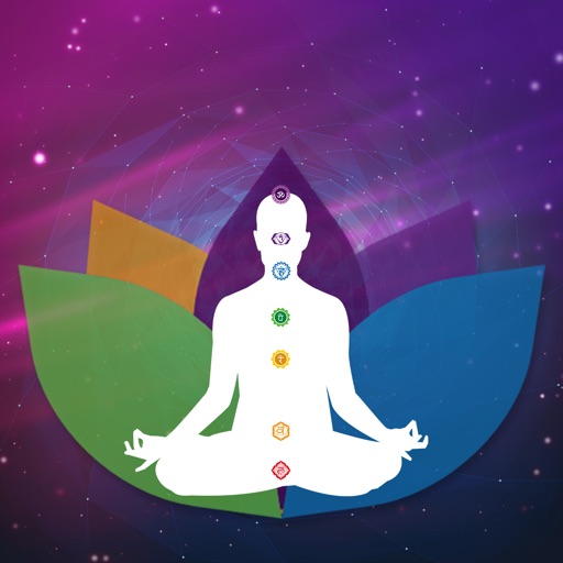 Insight Chakra Scan Download