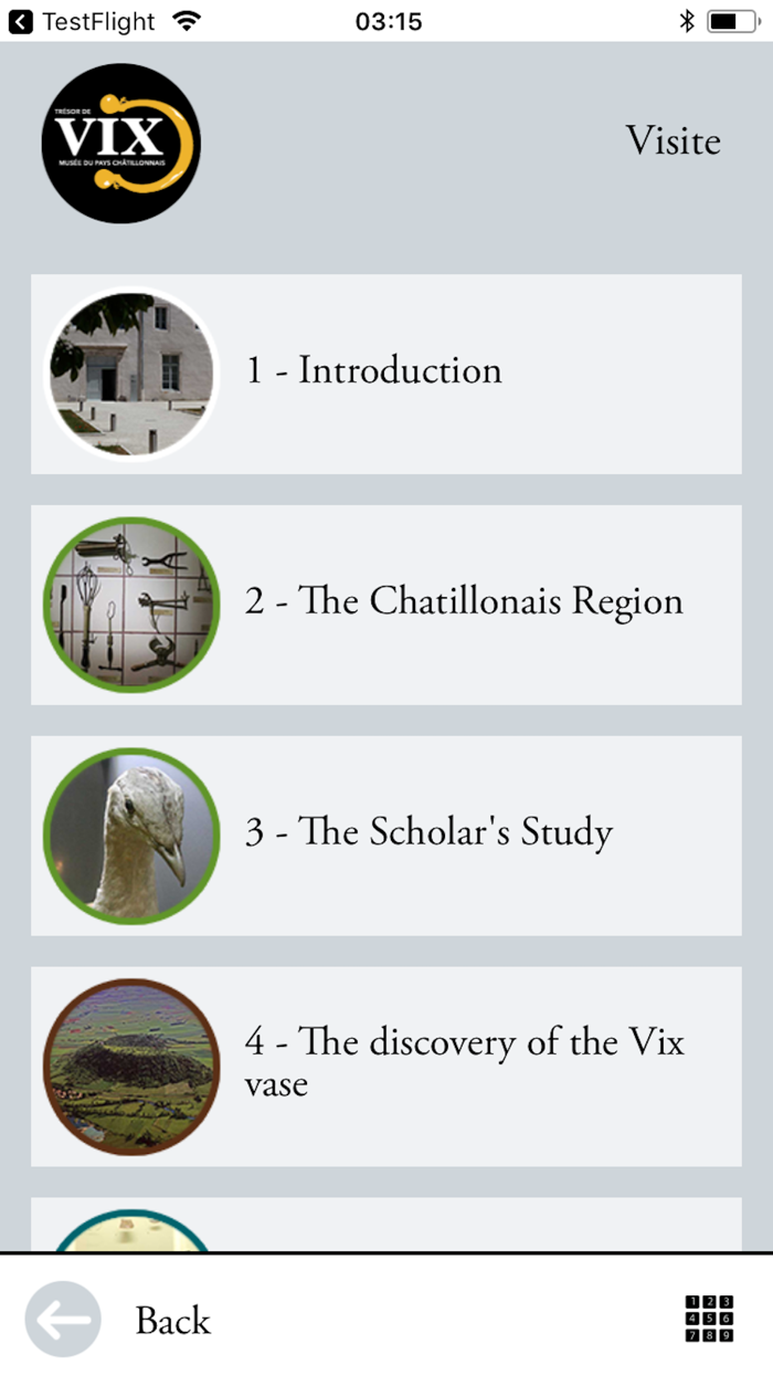 The Vix Treasure Museum Guide