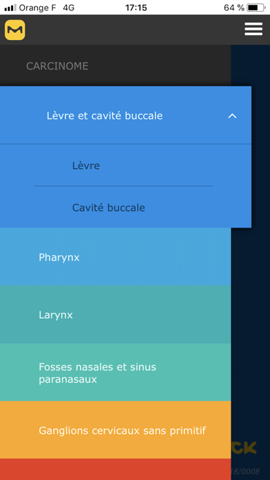 Screenshot #3 pour TNM VADS