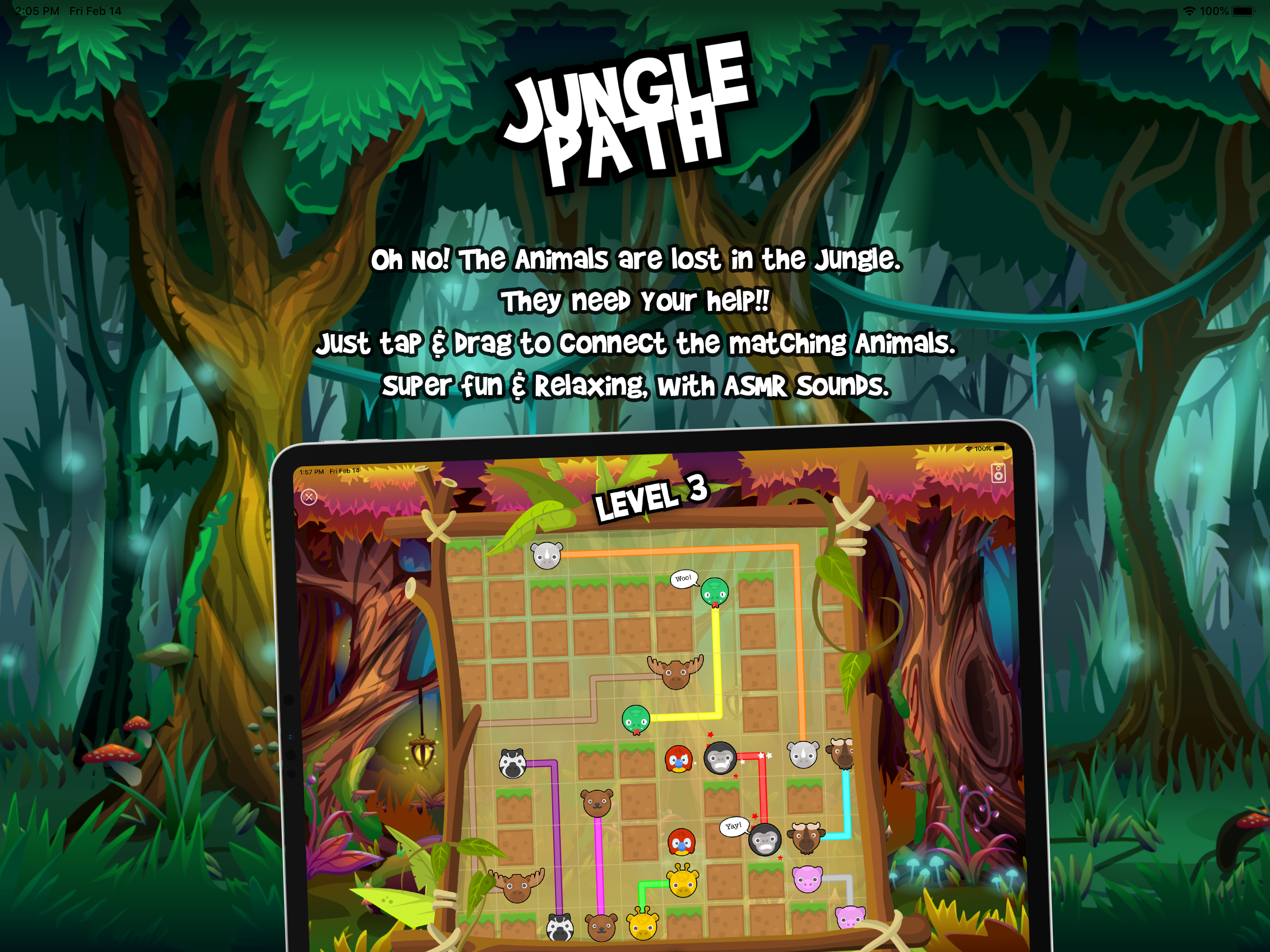 Jungle Path