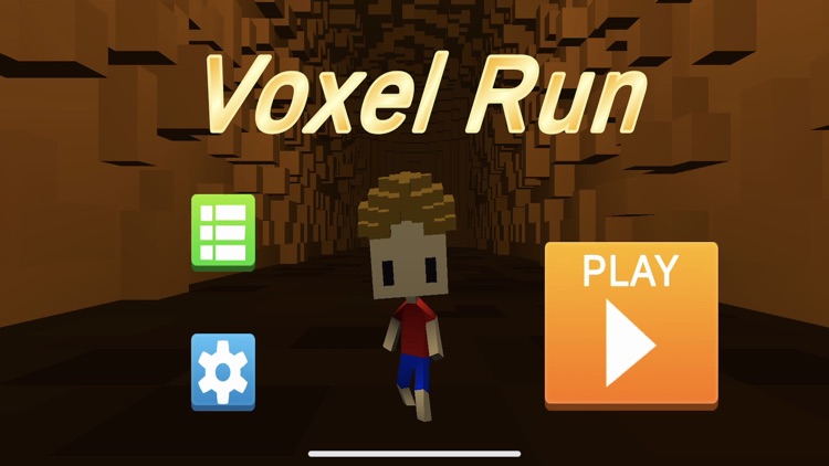 Voxel Run