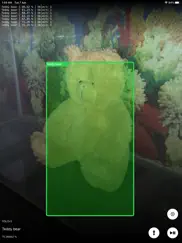 neural object detector iPad Captures Décran 2