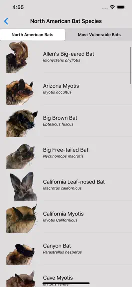 Game screenshot The Bat App apk