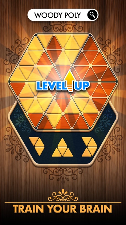 Woody Poly Block Hexa Triangle