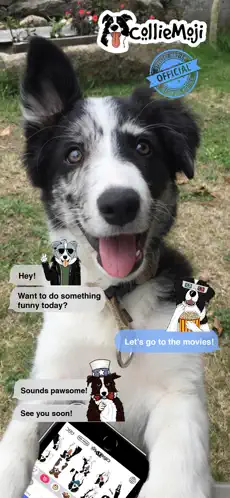 Captura de Pantalla 1 Collie Moji - Border emojis iphone