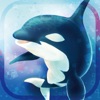 Virtual Orca Simulation game3D icon