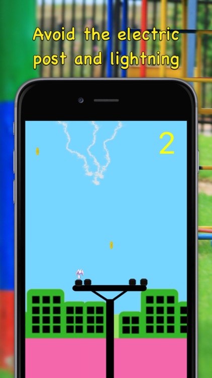 City Bird Fly screenshot-4