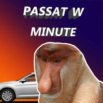 Passat w Minute Cheats