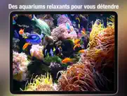 aquarium dynamique hd iPad Captures Décran 2