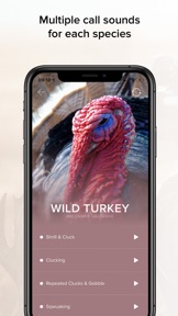 Game Calls screenshot