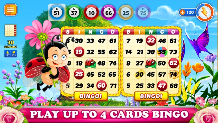 BINGO Mothers Day Holiday 2024