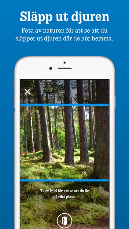 Djur på tur screenshot-3
