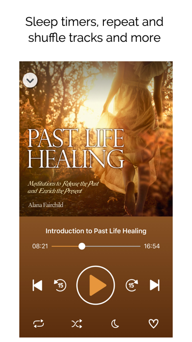 Past Life Healing Screenshot