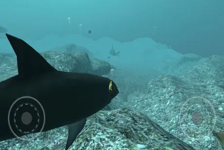 Real Fish Simulator