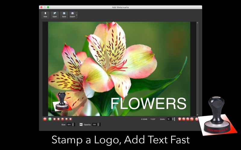Screenshot #2 pour InstaWatermark